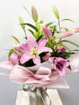 Pink lily