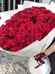 101 roses