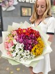 Alstroemeria mix