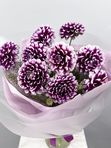 Purple dahlias