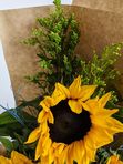 3 sunflowers