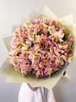 Pink alstroemerias