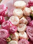 A bouquet of spray roses Bombastiki