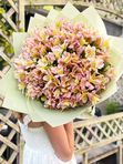 Pink alstroemerias
