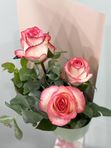 3 roses Jumelia