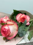 3 roses Jumelia