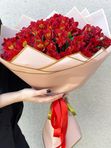 30 Red alstroemerias