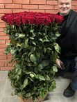 101 roses in a basket