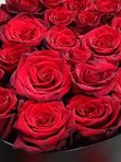 21 red roses in a black box