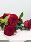 3 red roses