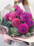Pink dahlias
