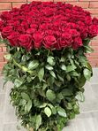 101 roses in a basket