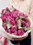 Pink spray roses