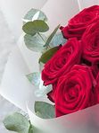 7 red roses