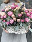 Basket with Bombastic