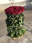 101 roses in a basket