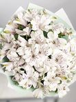 White Alstroemeria