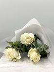 3 white roses