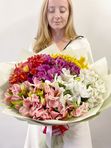 Alstroemeria mix