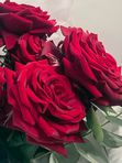 9 roses with eucalyptus