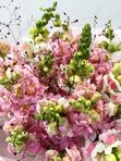 Bouquet with antirrhinum