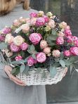 Basket with Bombastic