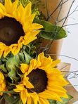 3 sunflowers