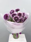Purple dahlias
