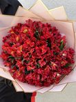 30 Red alstroemerias