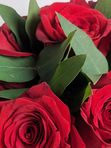 20 red roses in a box