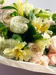 Bombastiki and alstroemeria