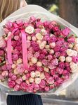 Pink sea Spray Pink Roses