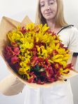 Red and yellow alstroemeria