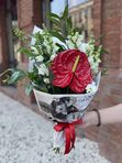 A bouquet of red anthurium