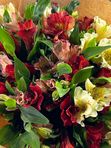 Alstroemeria in craft