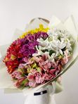 Alstroemeria mix