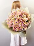 Pink alstroemerias