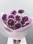 Purple dahlias