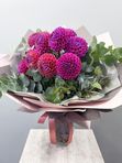 Pink dahlias