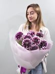 Purple dahlias