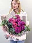 Pink dahlias