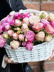 Basket With Bombastic Rose