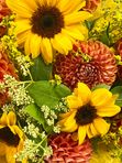 Bouquet country