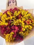 Red and yellow alstroemeria