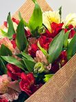 Alstroemeria in craft