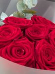 7 red roses