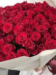 101 roses