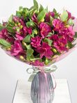 Alstroemeria