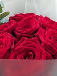 7 red roses