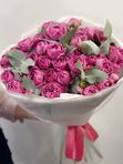 Pink spray roses